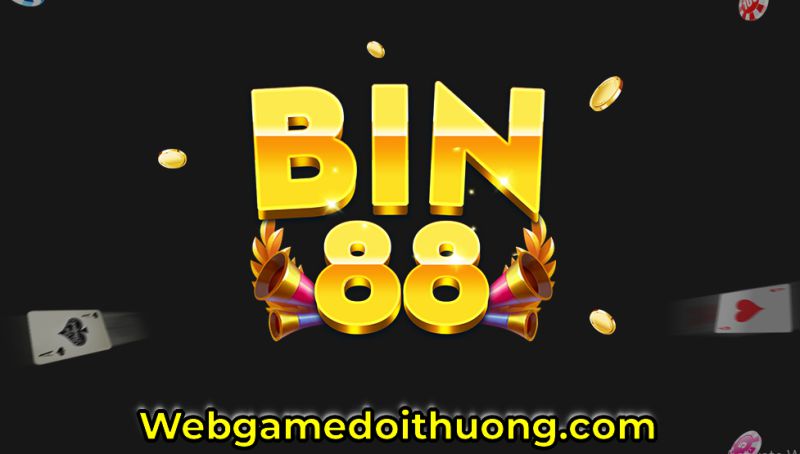 Bin88 Vip